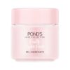 PONDS Fruity Hydra fresh Gel hidratante