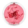 ESSENCE So cherry happy Rubor 01