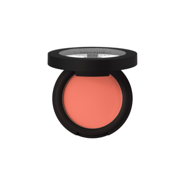 CATRICE RUBOR POLVO SOFT BLUR 020