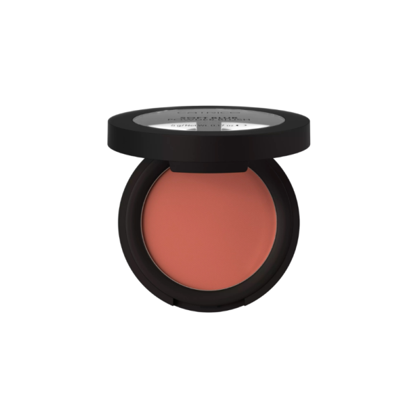 CATRICE RUBOR POLVO SOFT BLUR 030