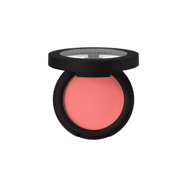 CATRICE RUBOR POLVO SOFT BLUR 040